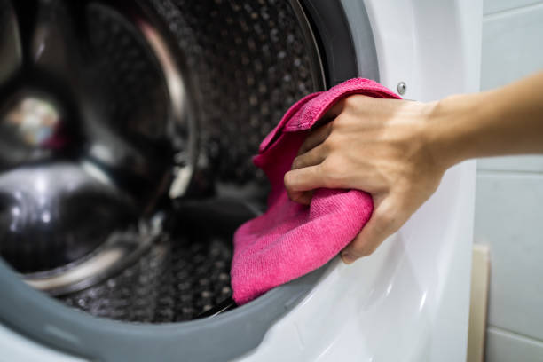 Best Dehumidification Services  in College, AK