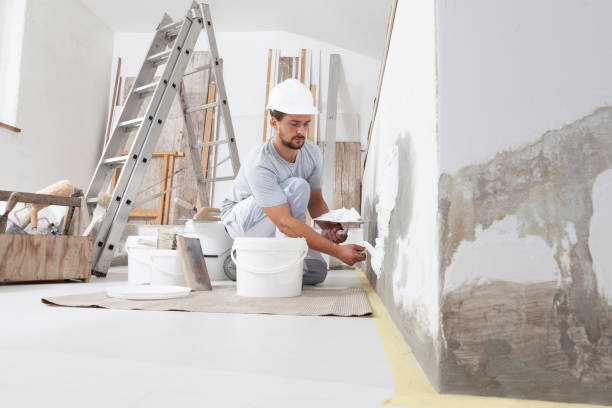 Best Mold-Related Health Consultation  in College, AK