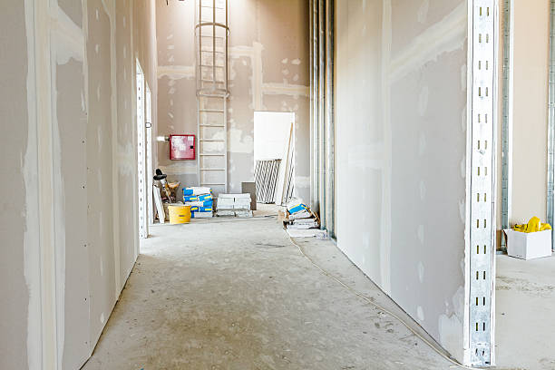  College, AK Mold Removal Pros