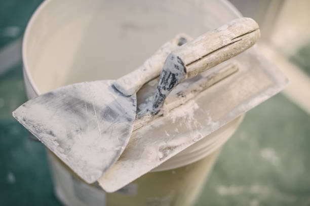 Best Environmental Consulting for Mold Prevention  in College, AK