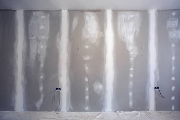 Best Black Mold Removal  in College, AK
