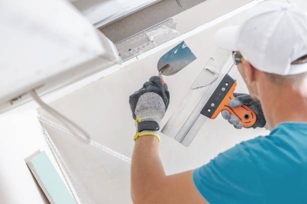 Best HVAC Mold Inspection and Cleaning  in College, AK